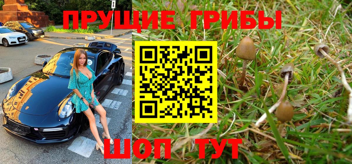 Радужный  Галлюциногенные грибы Psilocybine cubensis  Вход с VPN  Галлюциногенные грибы MAGIC MUSHROOMS 