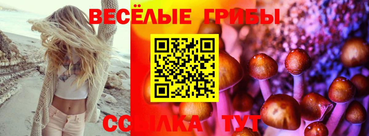 Псилоцибиновые грибы Cubensis Радужный